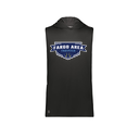 Men's CoolDry Sleeveless Hoodie